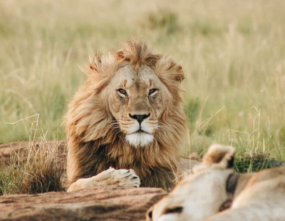 What to see and do on romantic getaways in Tanzania