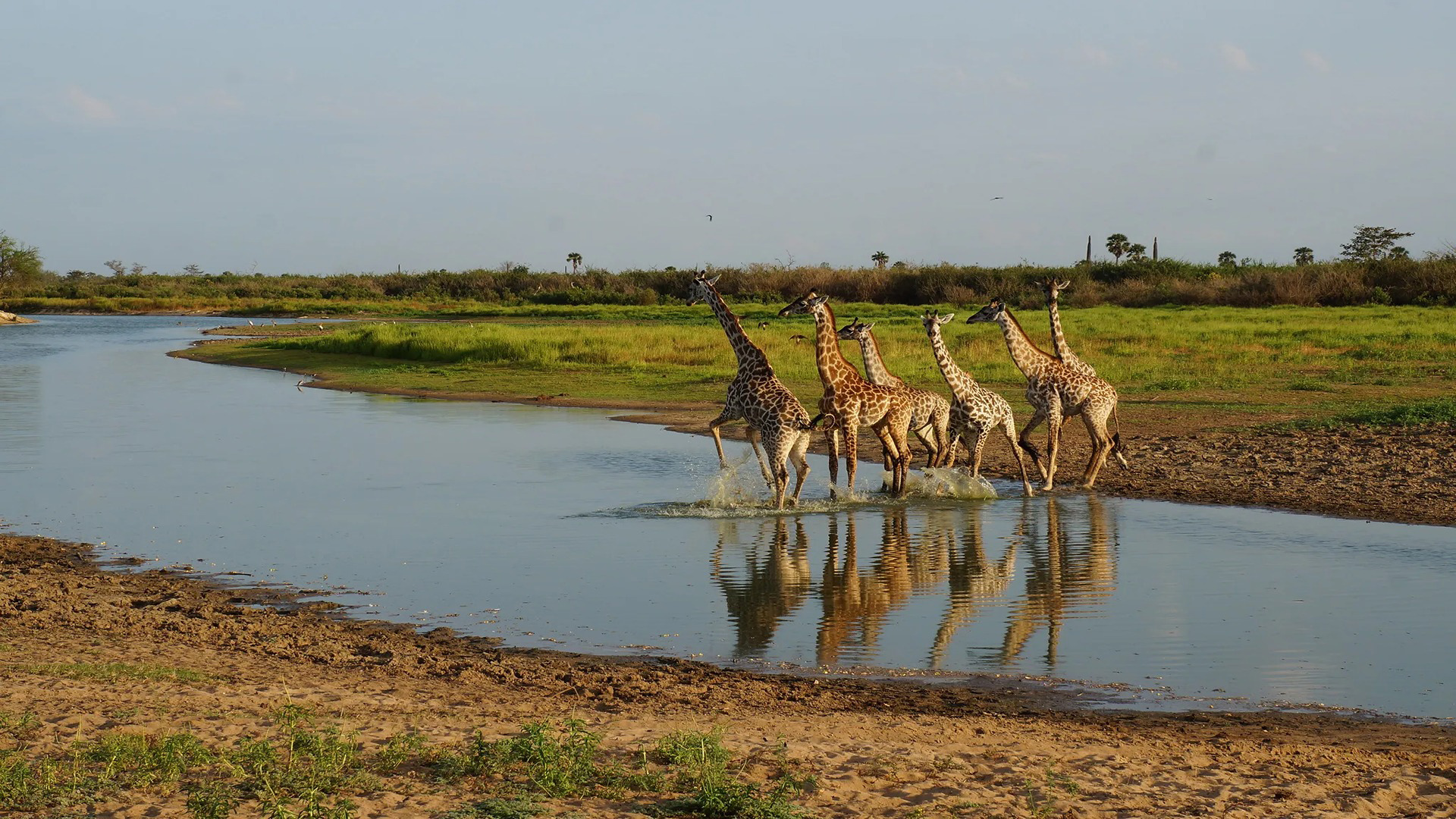 5 Days Tanzania Mid-range Safari