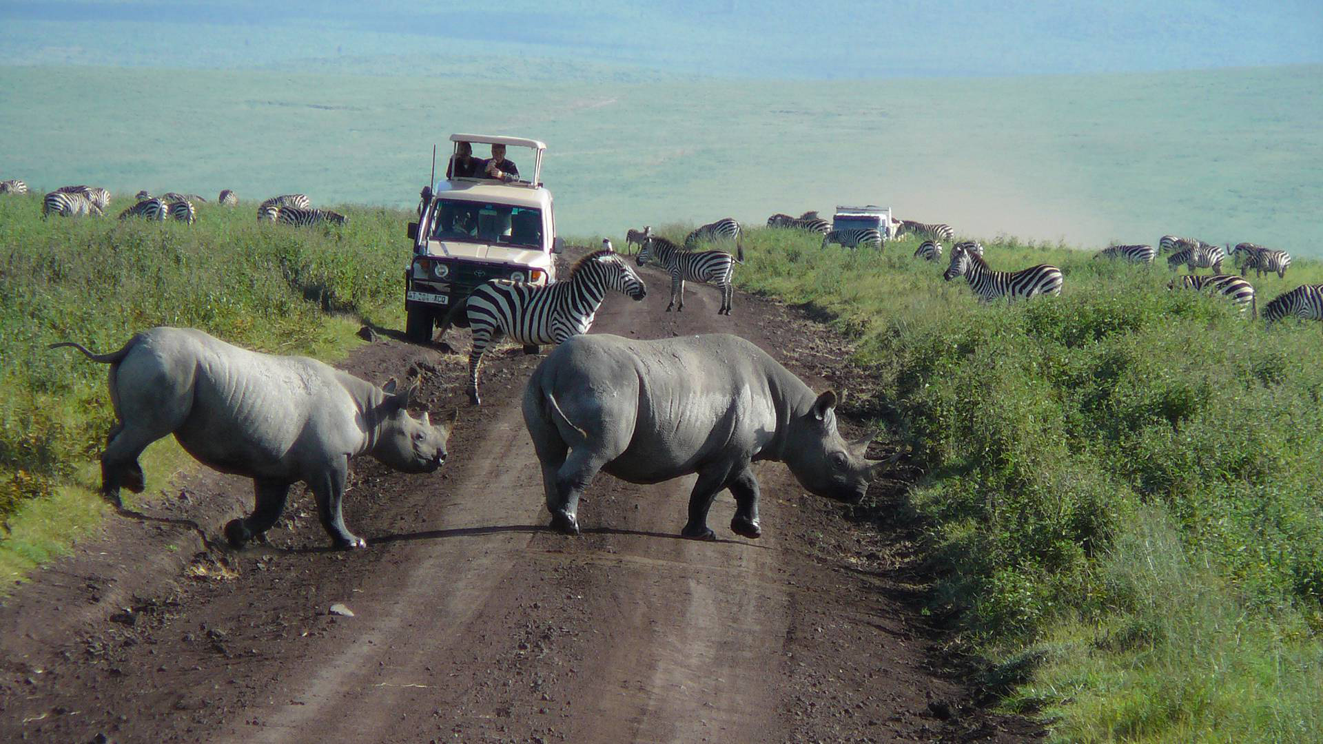 4 Days Nyerere National Park Safari