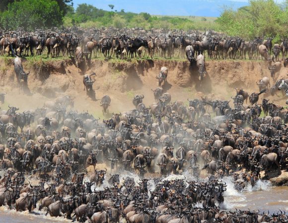 7 Days Tanzania Migration Safari