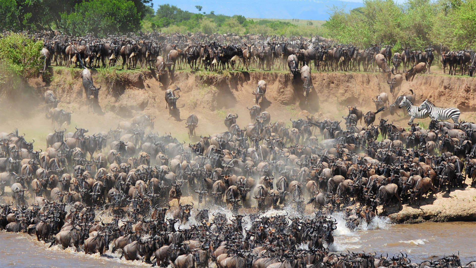 7 Days Tanzania Migration Safari