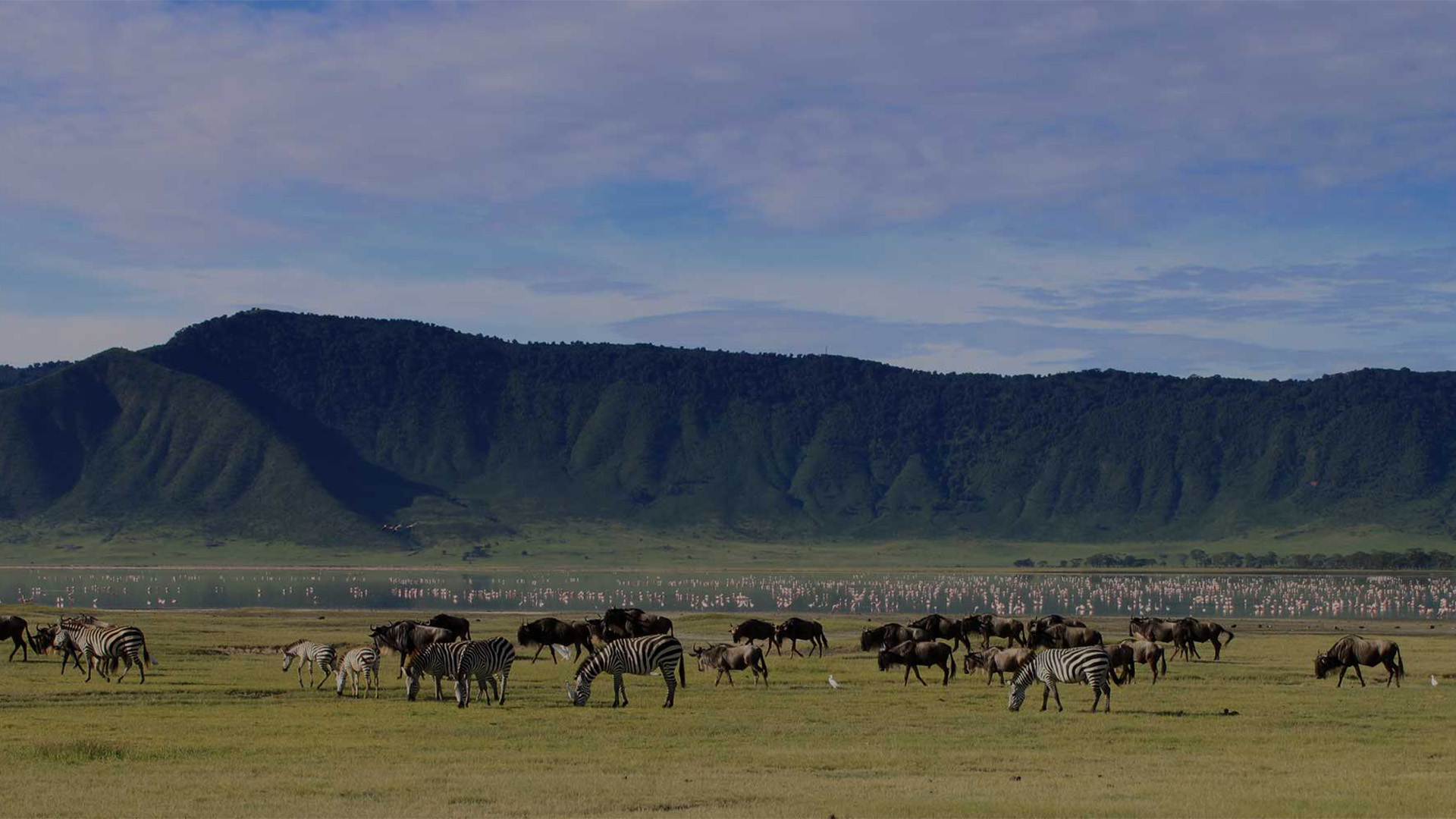 Ngorongoro Crater Day Trip