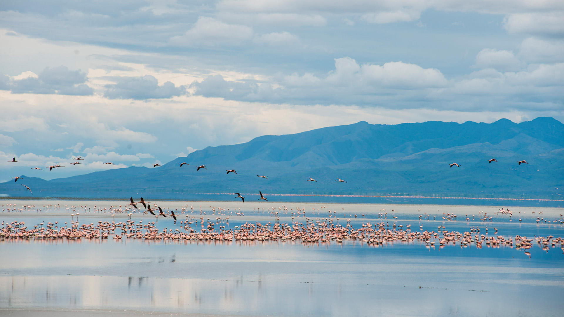 Lake Manyara Day Trip