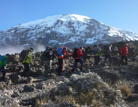 Recommended Best Time of Year to Climb Kilimanjaro