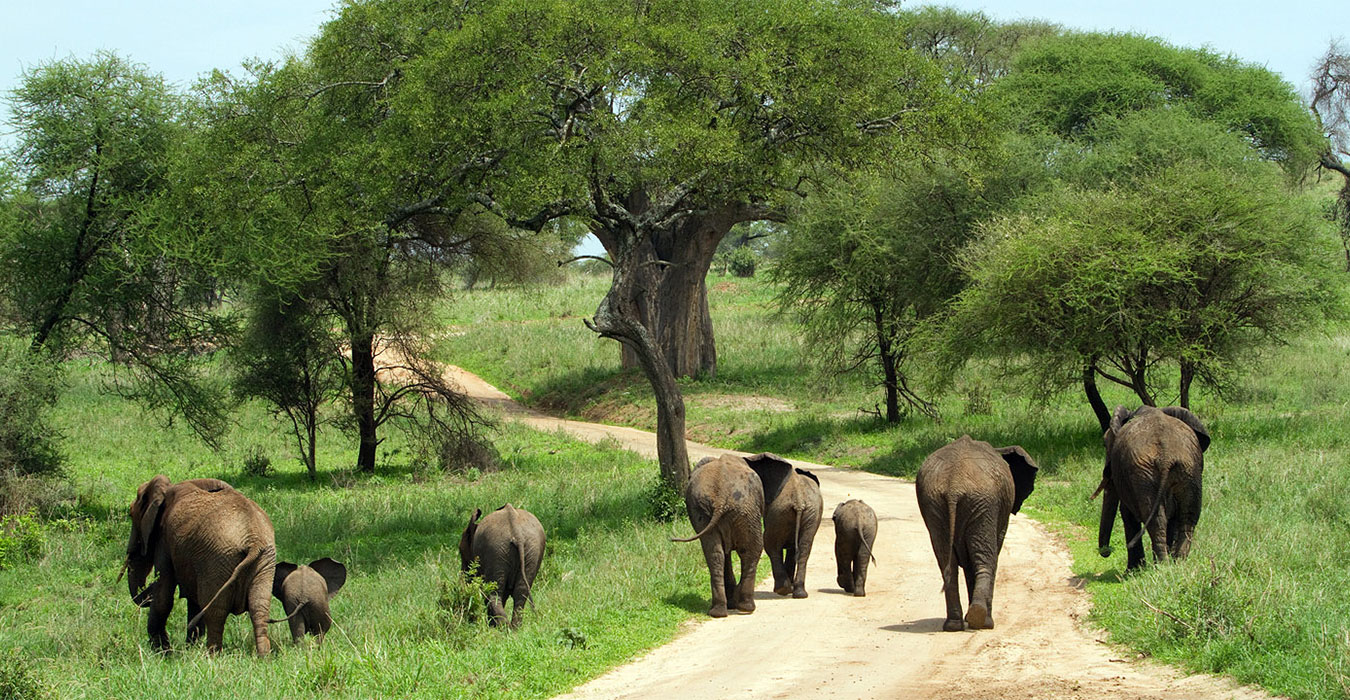 Best Places to Visit in Tanzania 
