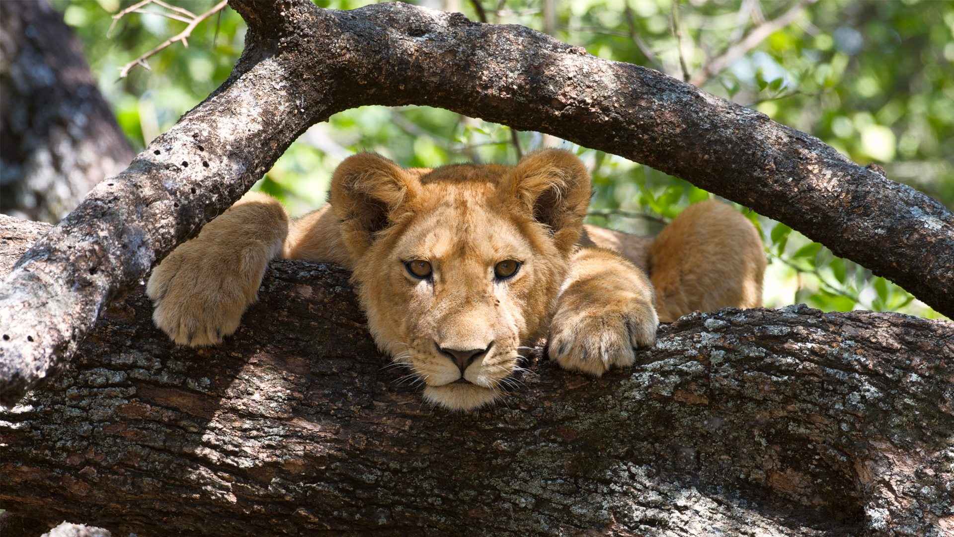 Best Places to Visit in Tanzania