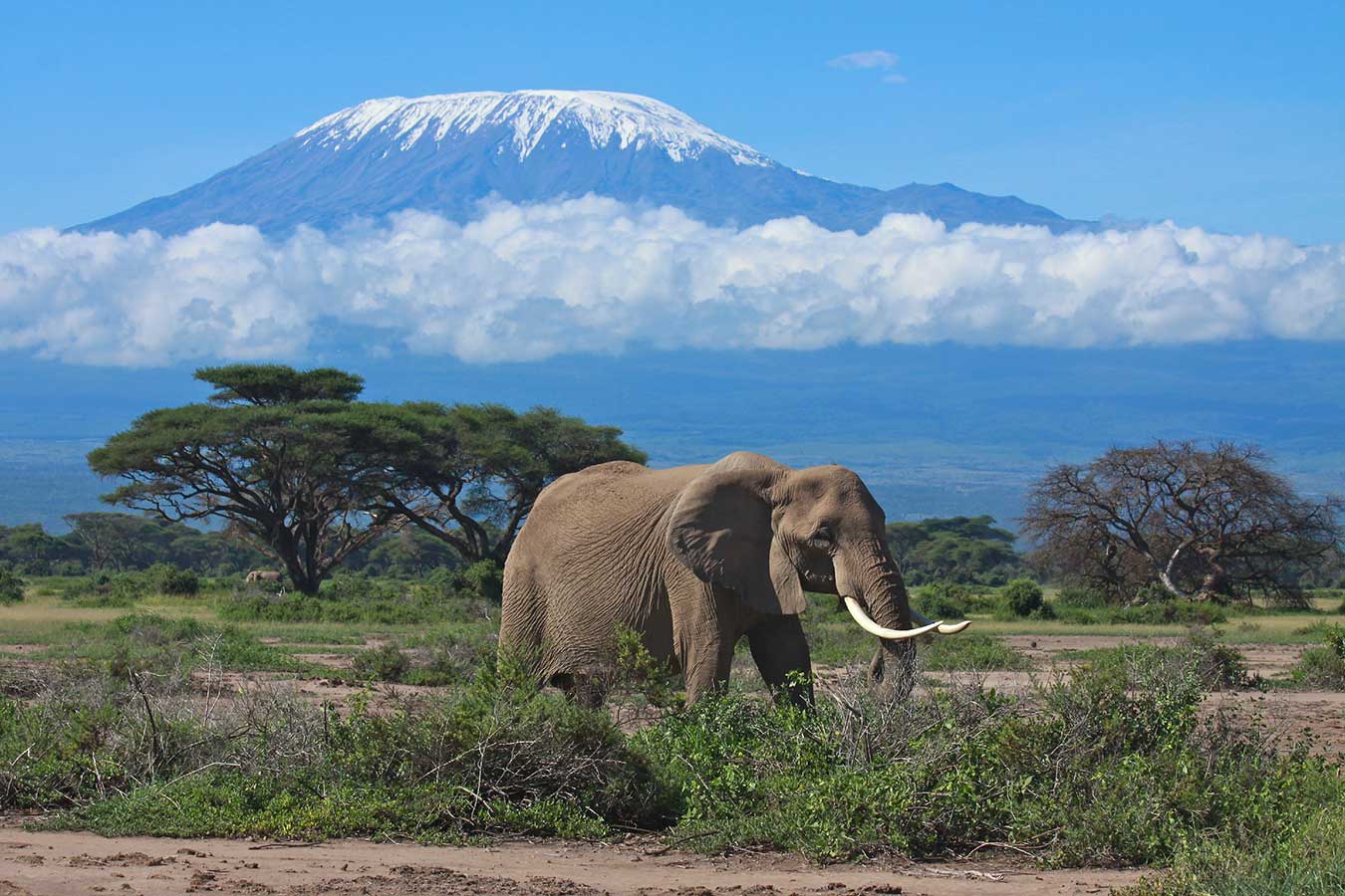 Best Places to Visit in Tanzania
