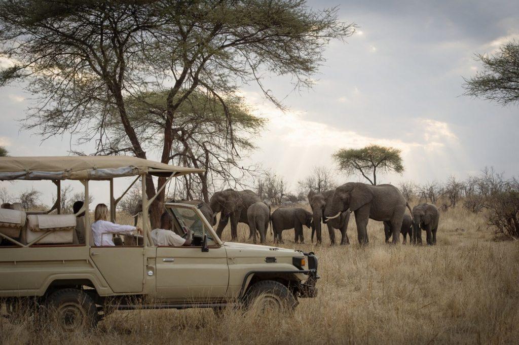 Best Places to Visit in Tanzania
