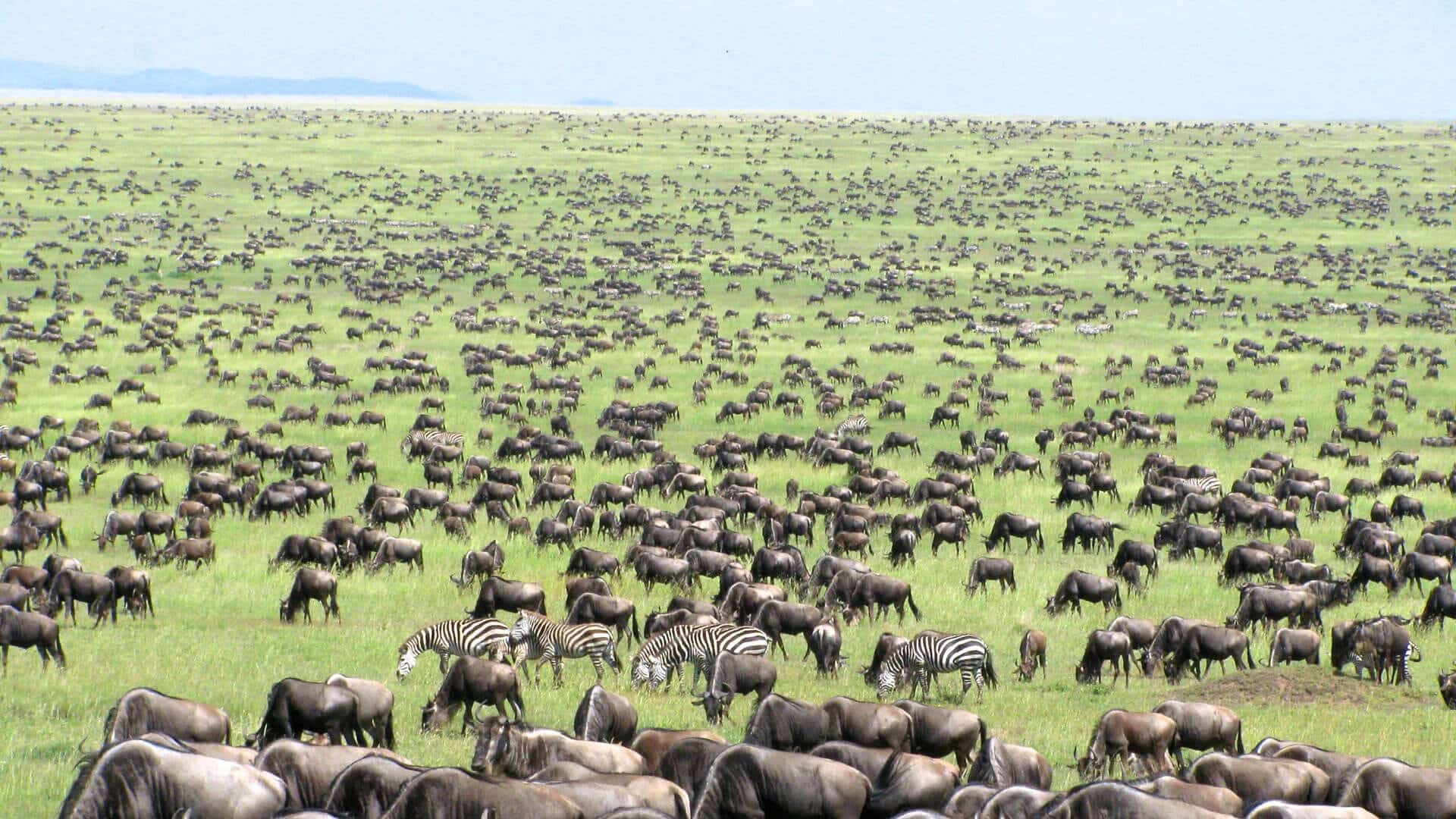 Best Places to Visit in Tanzania