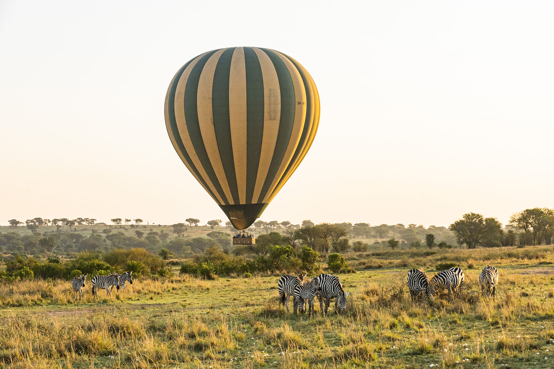 Factors Affecting Tanzania Safari Cost