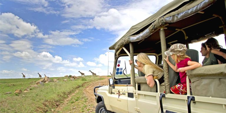rosh-family safari