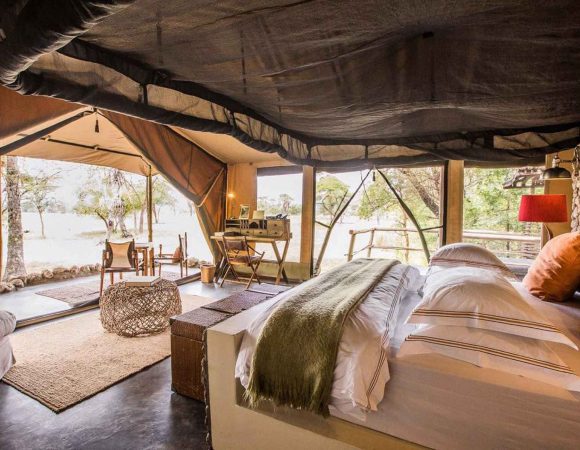 Top Tanzania Safari Accommodation Options for Every Traveler