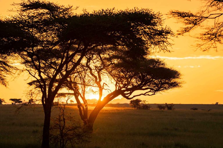 tanzania safari cost_