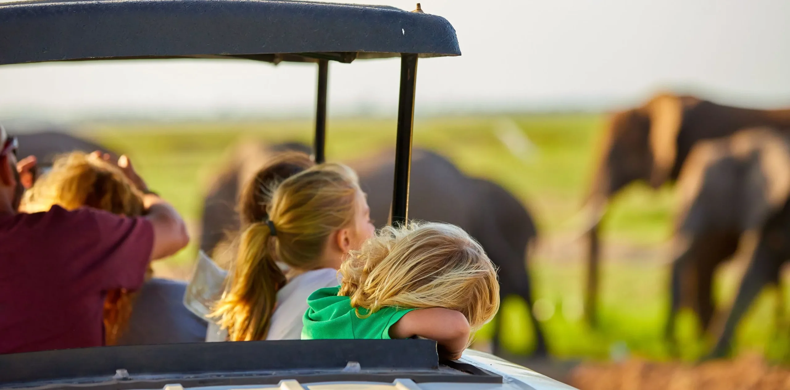Family Safari Vacation in Tanzania